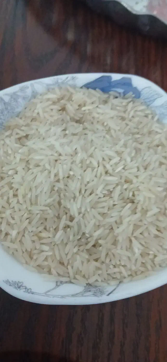 کشت دوم برنج فوق‌العاده ۲۸۵ت سرلاشه ۱۷۵ هاشمی|خوردنی و آشامیدنی|بابکان, |دیوار