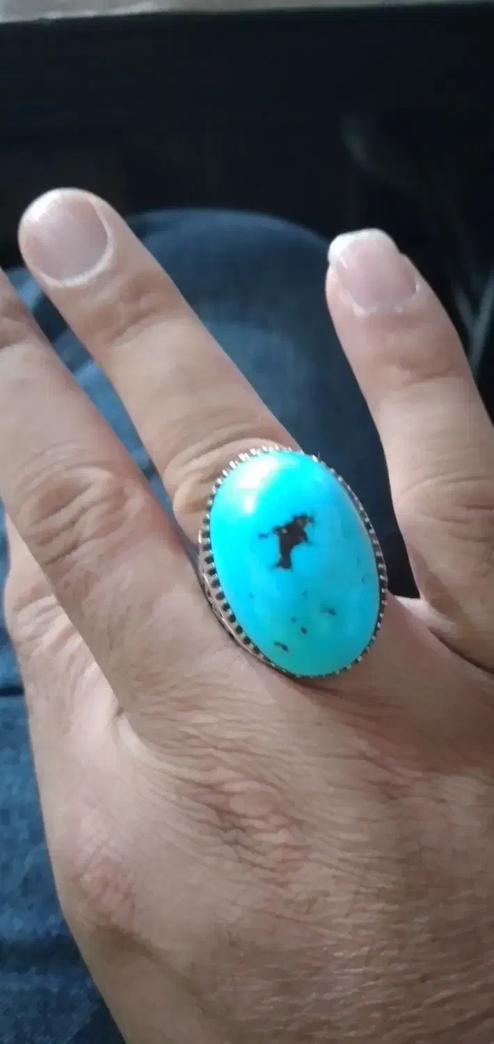 انگشترفیروزه مغزسنگ ۲طرف رخ دلفین پرستوروی سنگ|جواهرات|بومهن, |دیوار