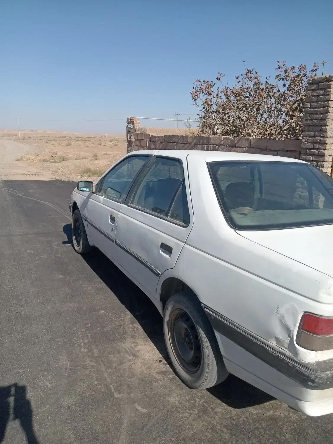 سواری|خودرو سواری و وانت|جنگل, |دیوار