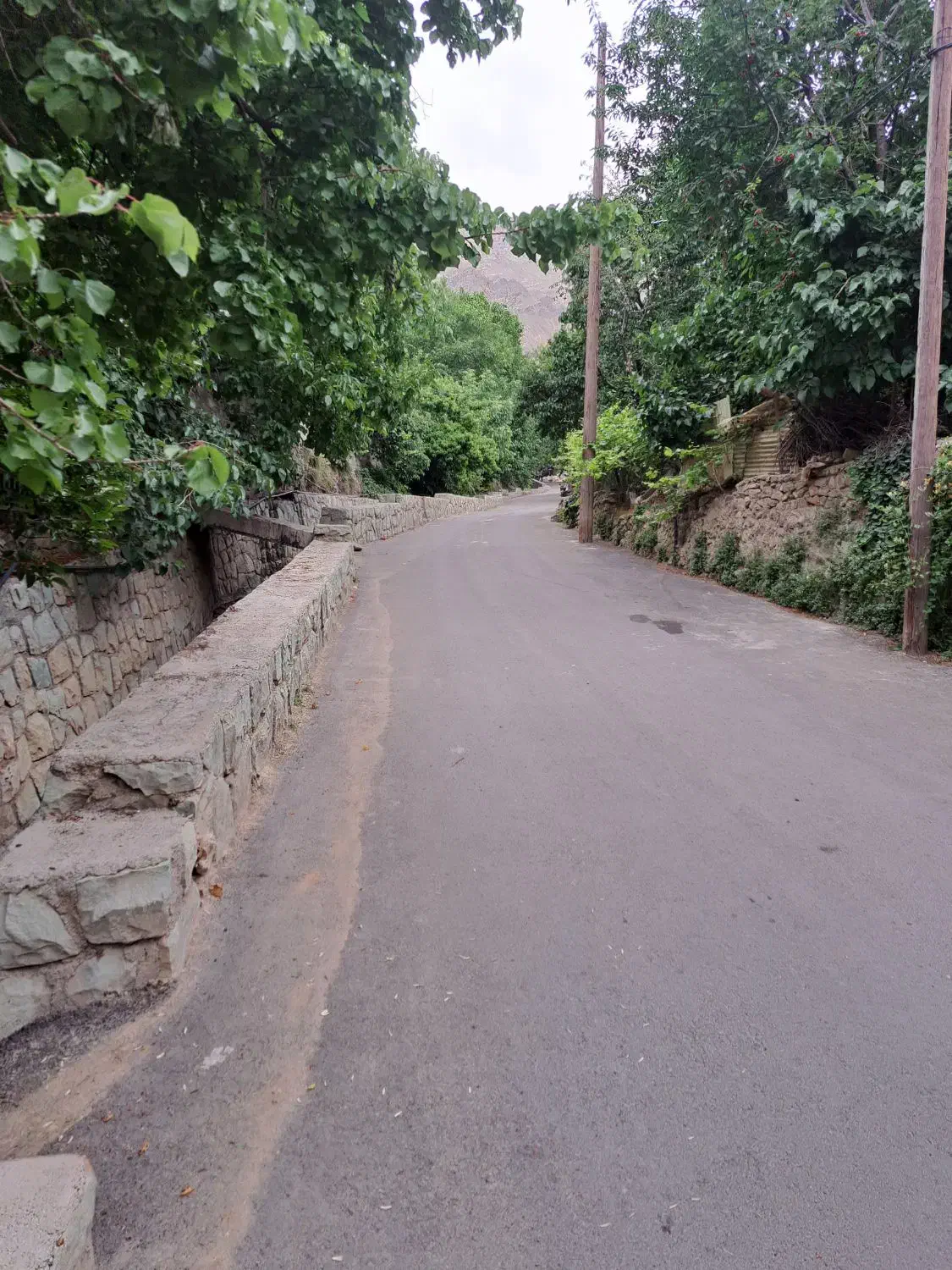 ۲۵۰متر باغچه سولقان|فروش زمین و ملک کلنگی|تهران, شهران جنوبی|دیوار