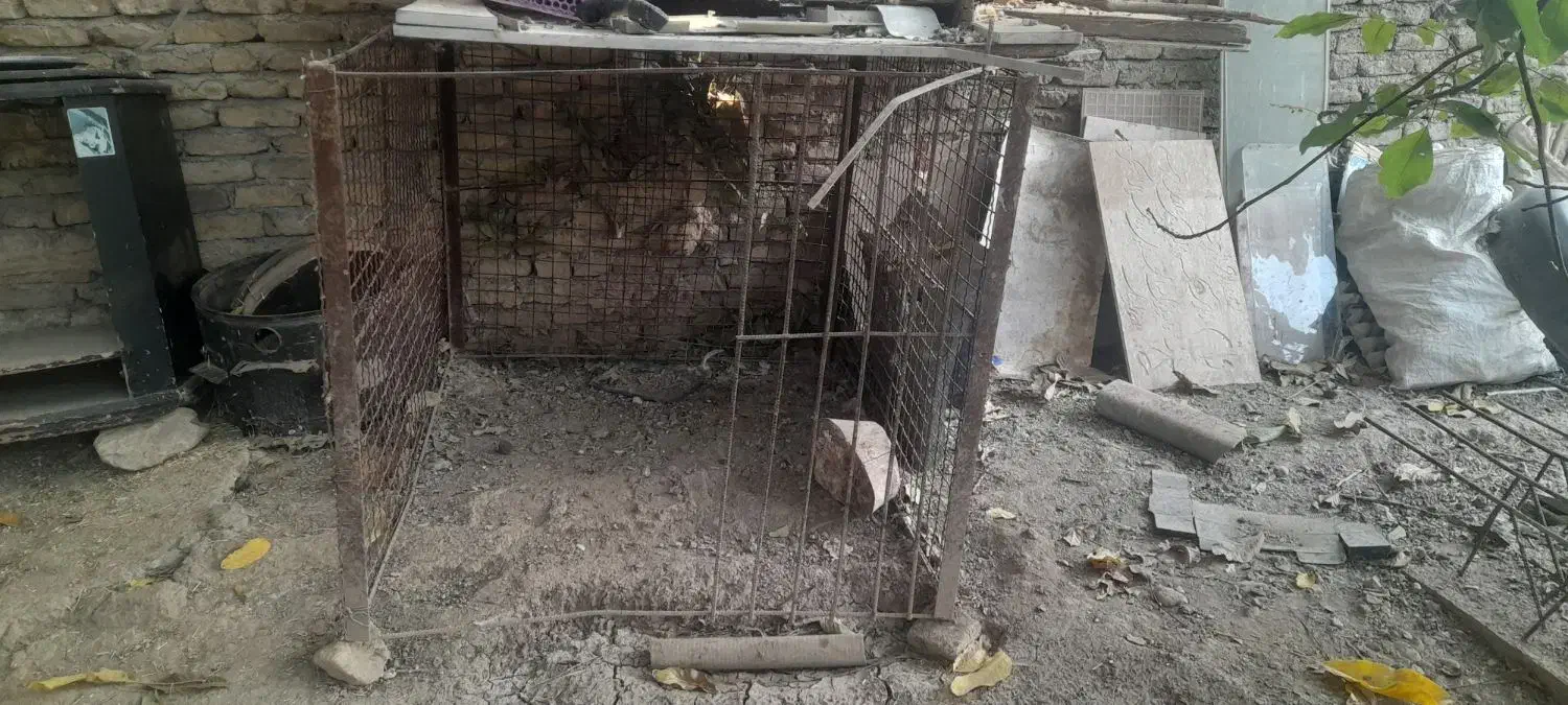 قفس بزرگ|لوازم جانبی حیوانات|صحنه, |دیوار