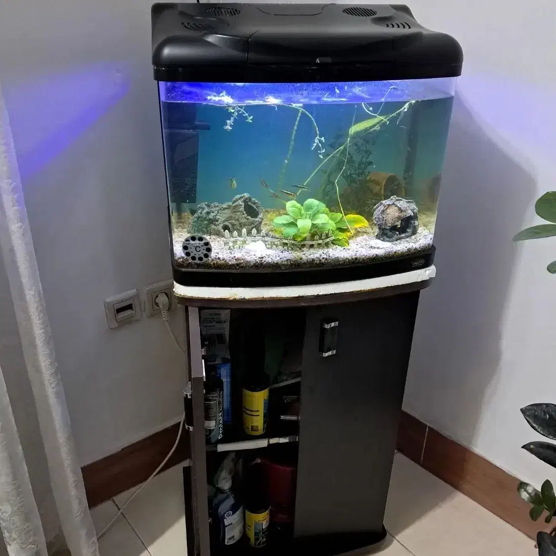 آکواریوم با میز ایستاده دو درب|ماهی|رشت, فلسطین|دیوار