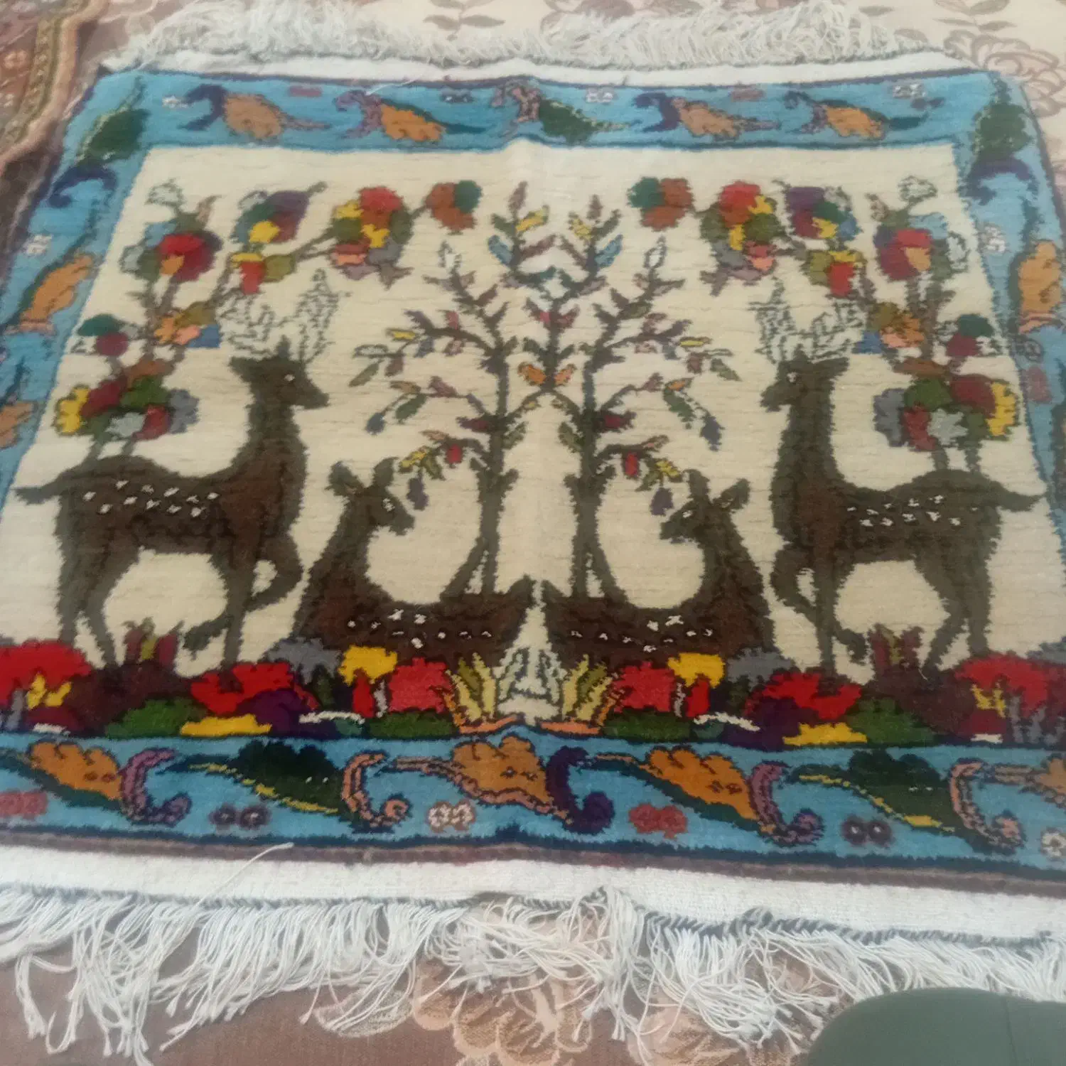 فرش دست باف|فرش|مشهد, کوی سیدی|دیوار