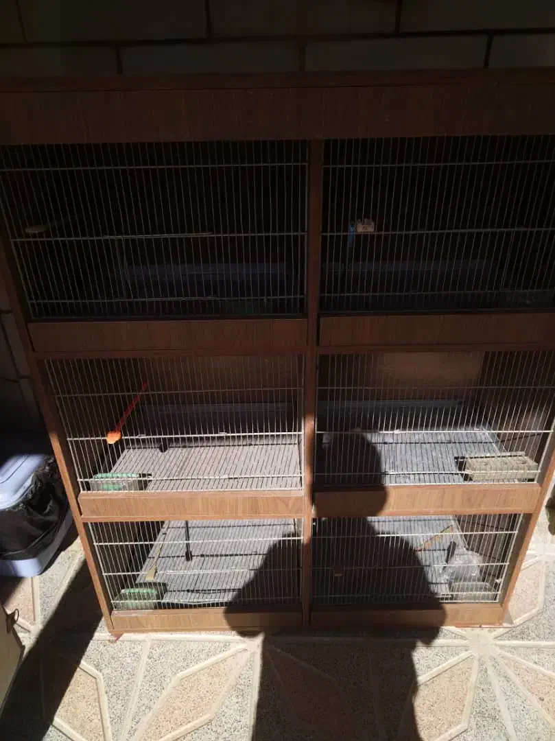 قفس فروشی|لوازم جانبی حیوانات|شهرضا, |دیوار