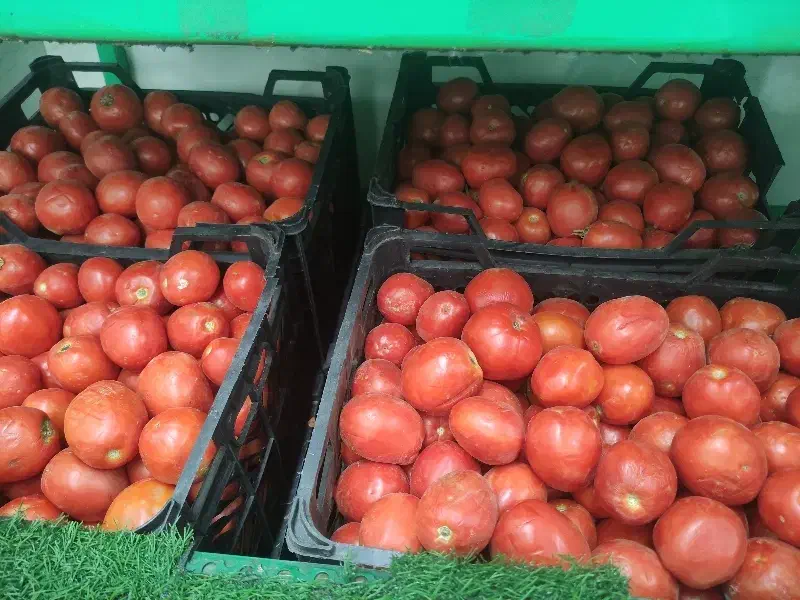 گوجه فرنگی|خوردنی و آشامیدنی|اصفهان, ارزنان|دیوار