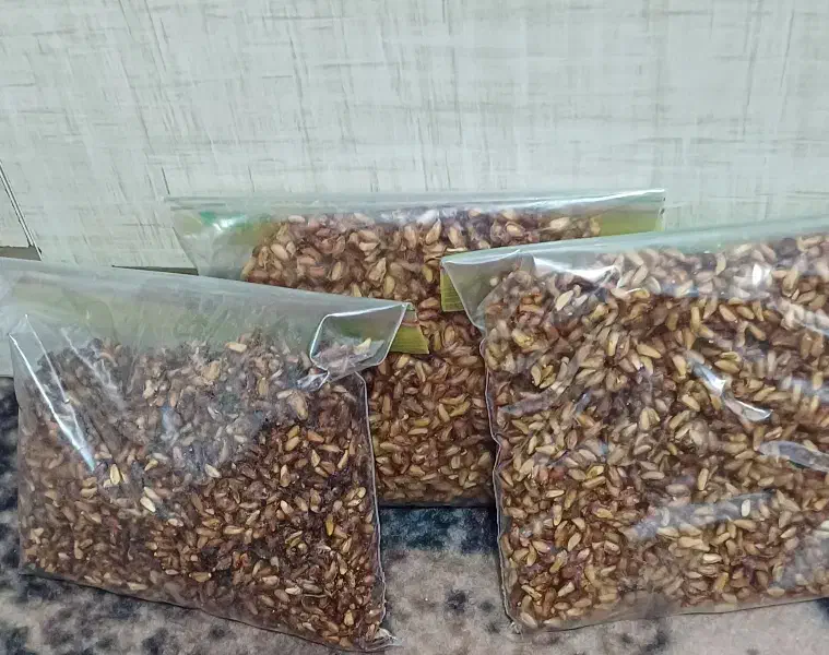 دونه انار خشک|خوردنی و آشامیدنی|میناب, |دیوار