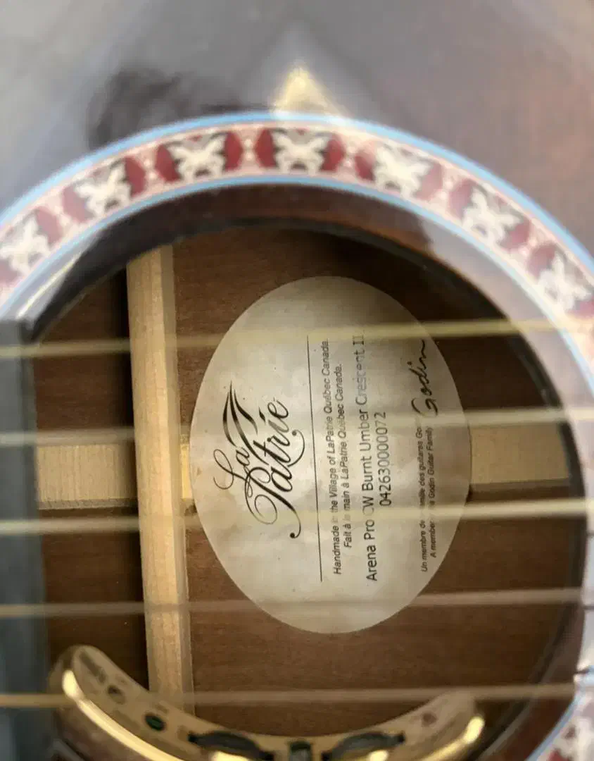 گیتار گلدن آرنا cw|گیتار، بیس، امپلیفایر|تهران, قبا|دیوار