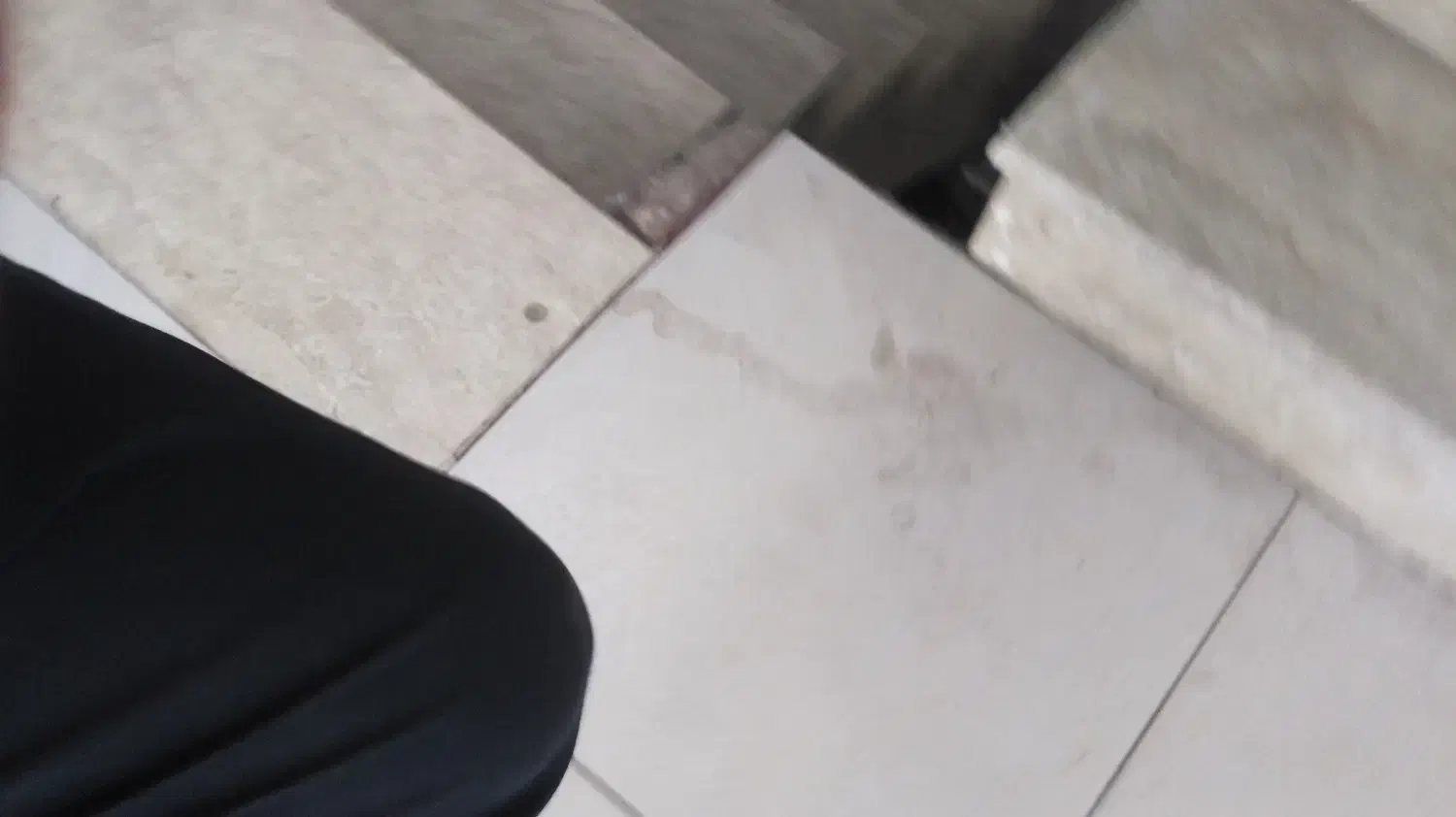 سبوس گندم دامی قاطی شده با ارد|خوردنی و آشامیدنی|ایلخچی, |دیوار