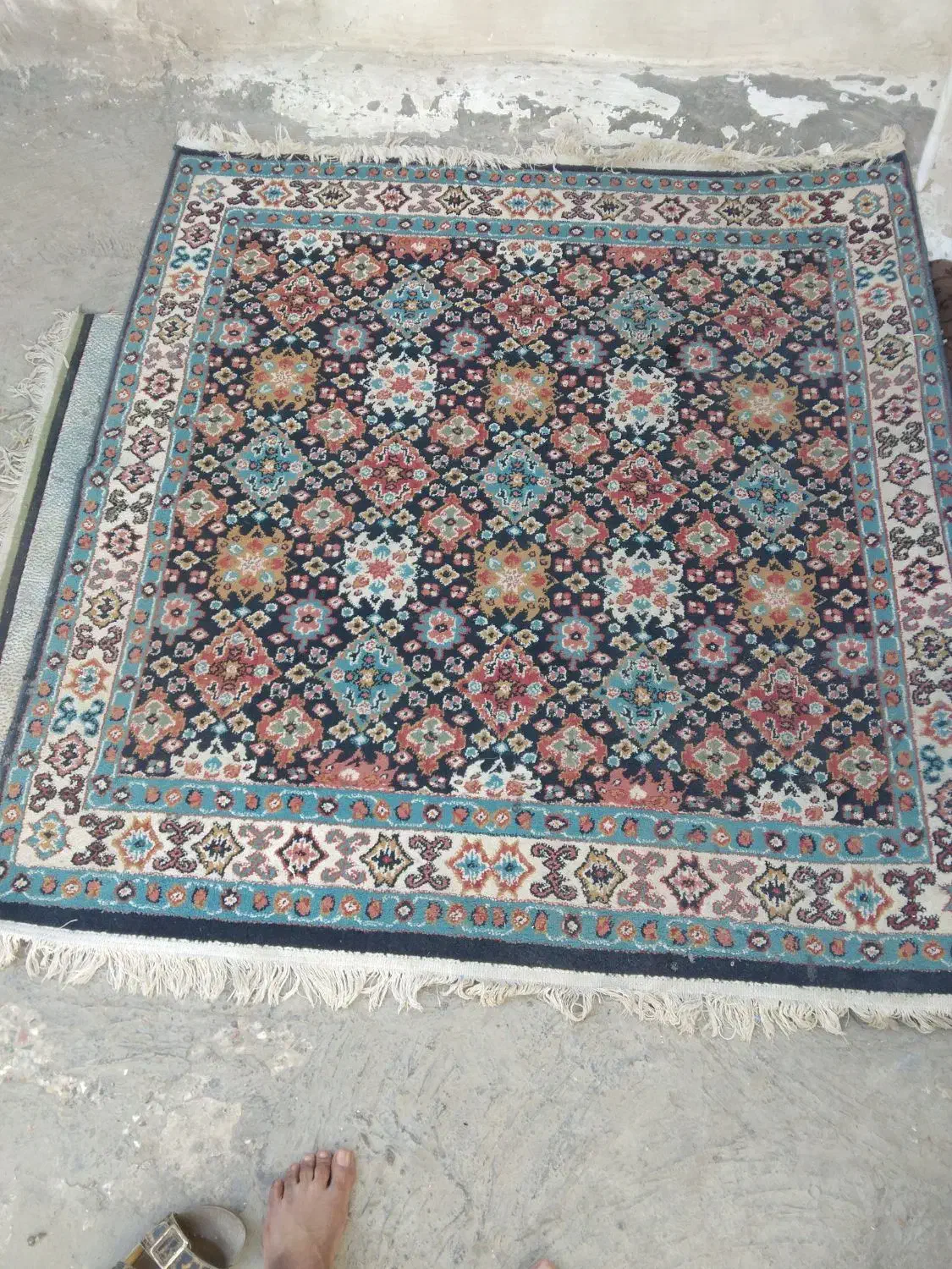 گلیم فرش ۴ متری|گلیم، جاجیم، گبه|بندرعباس, |دیوار