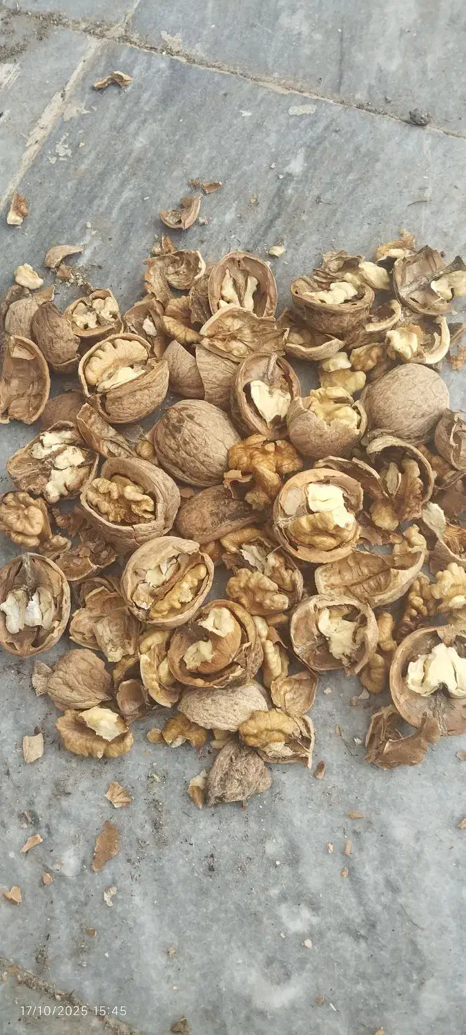 گردو. درجه یک|خوردنی و آشامیدنی|نهاوند, |دیوار