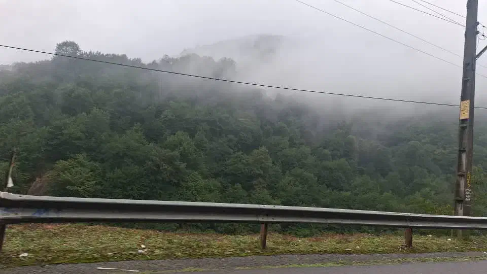 راهنمایب پارتنر|فعالیت داوطلبانه|فسا, |دیوار