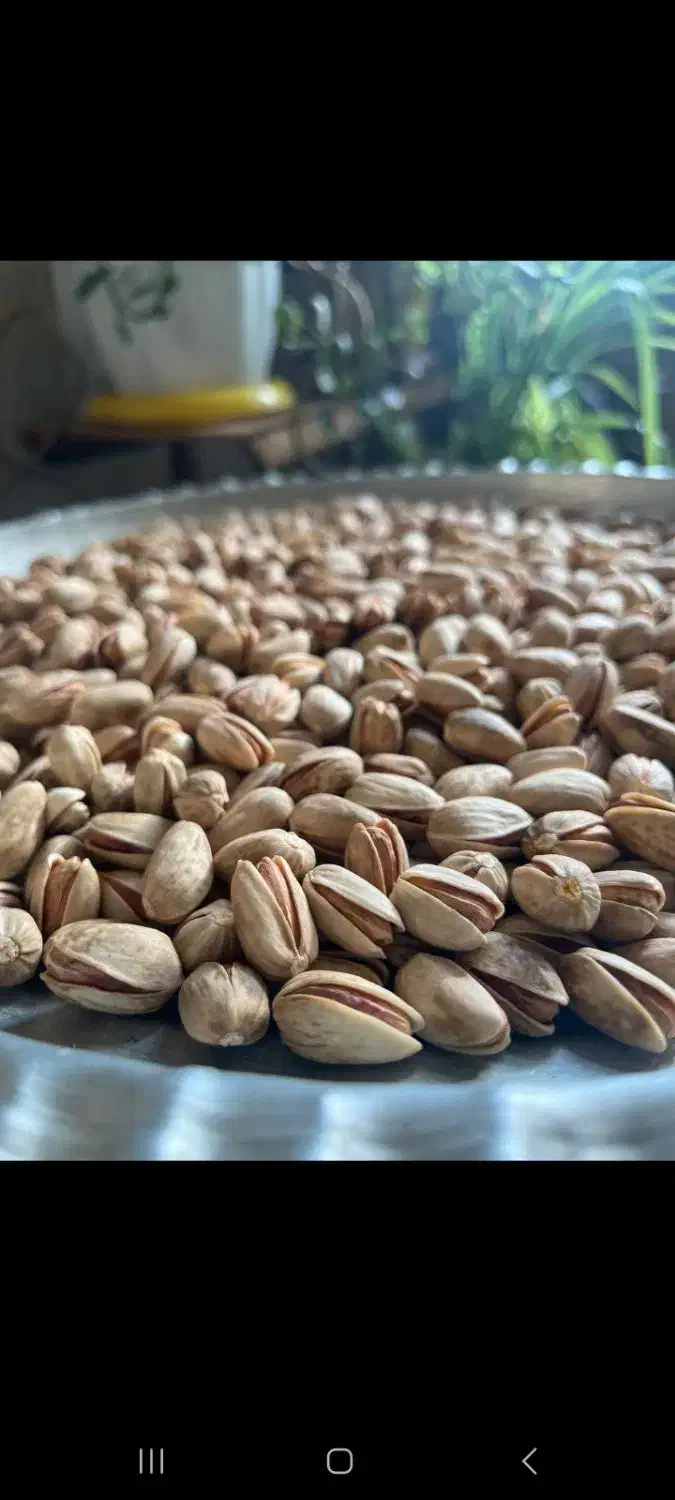 پسته اکبری|خوردنی و آشامیدنی|مشهد, نیروی هوایی|دیوار