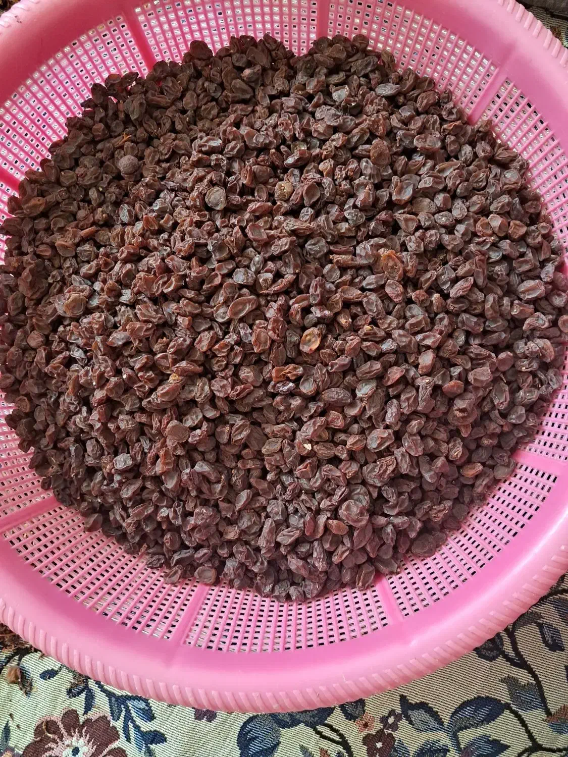 فروش کشمش بش|خوردنی و آشامیدنی|شیراز, شهرک رضوان|دیوار