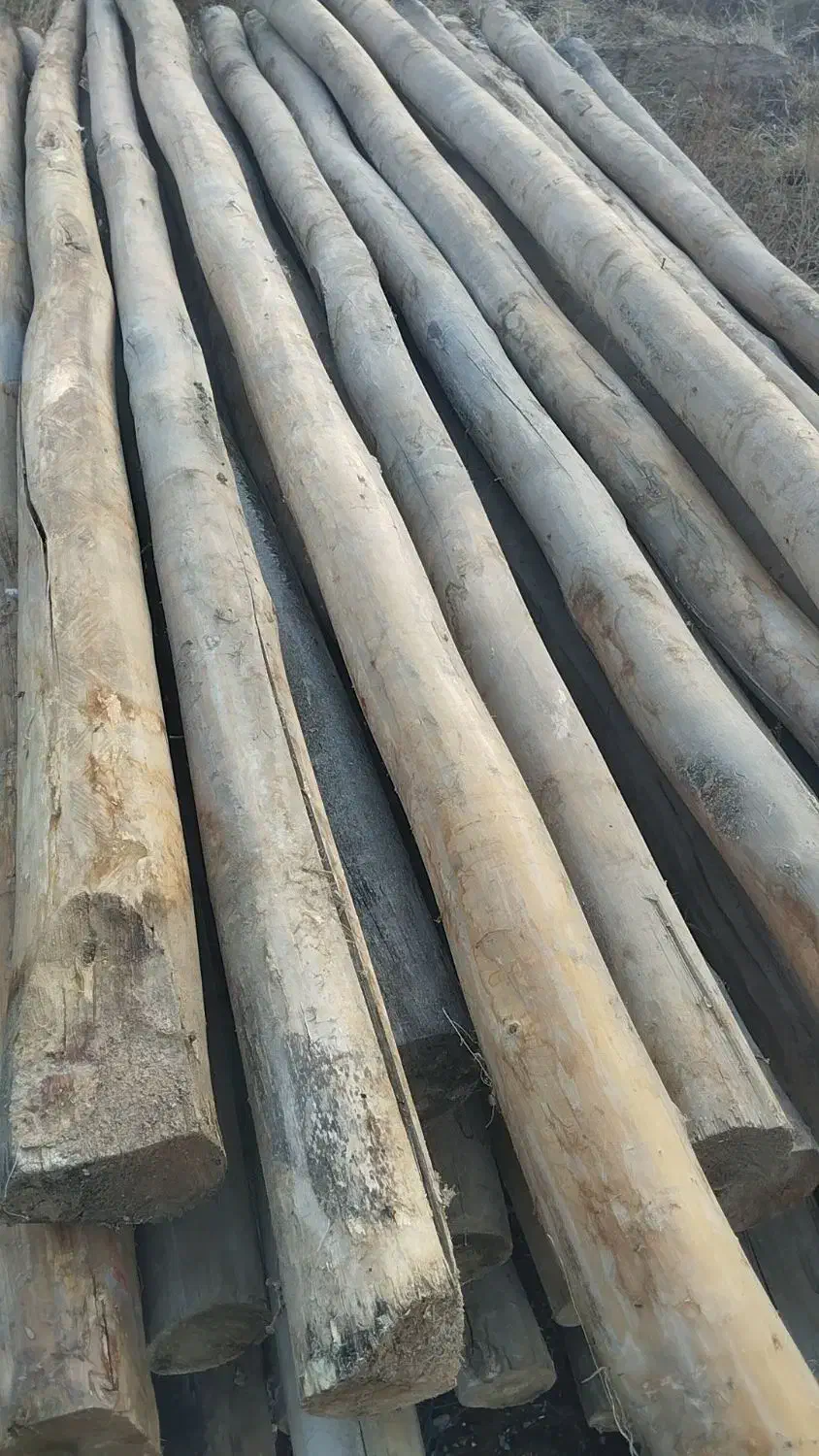 چوب|ابزارآلات|میاندوآب, |دیوار