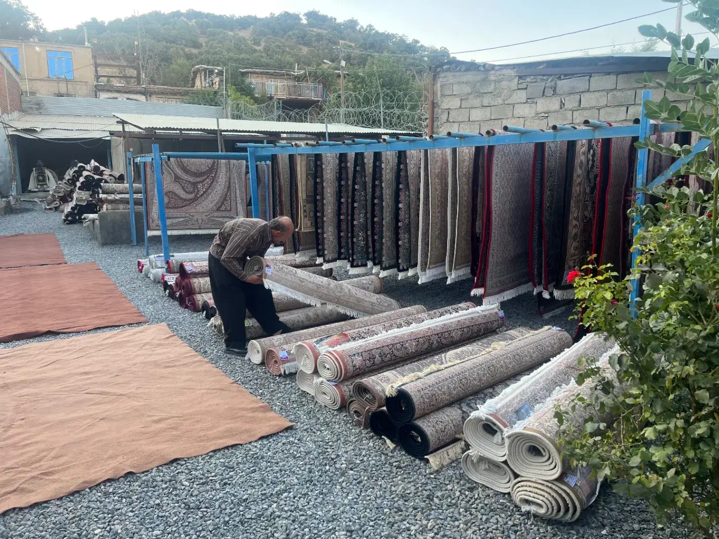 قالی شویی ملت|خدمات نظافت|مریوان, |دیوار