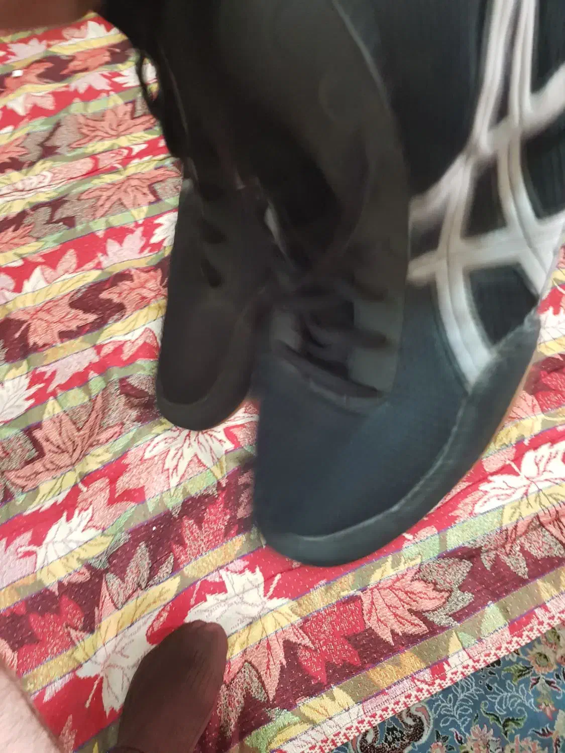 کشتی|کیف، کفش، کمربند|چهارباغ, |دیوار