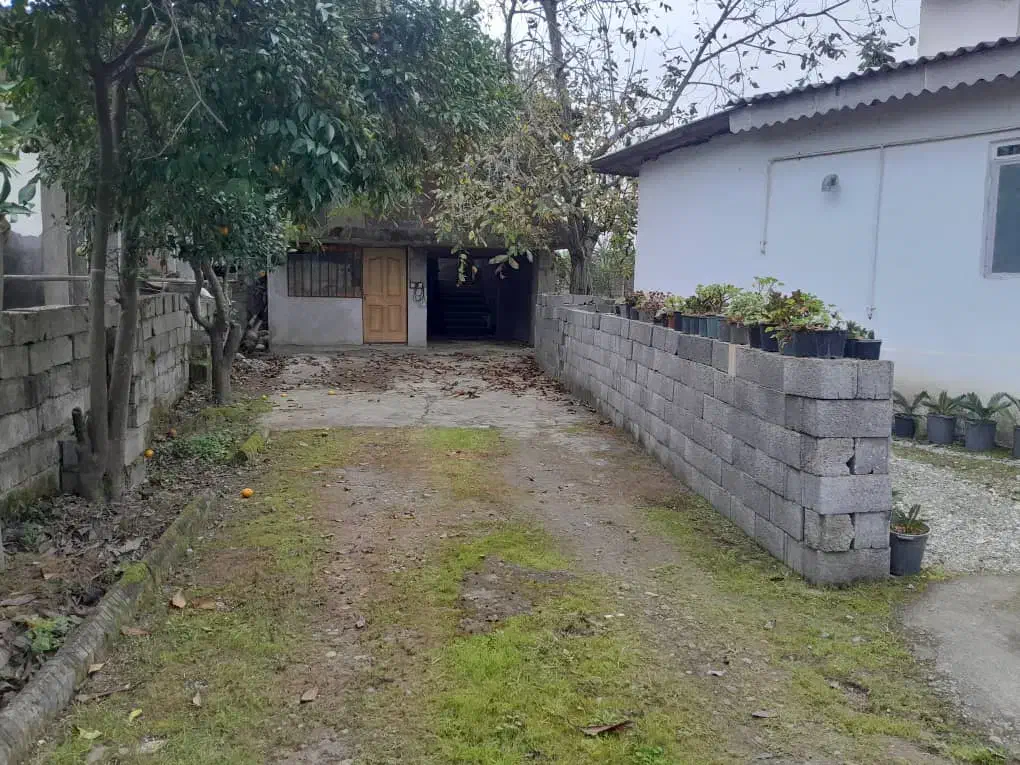 فروش زمین و ویلا با کاربری مسکونی|فروش خانه و ویلا|شیرود, |دیوار