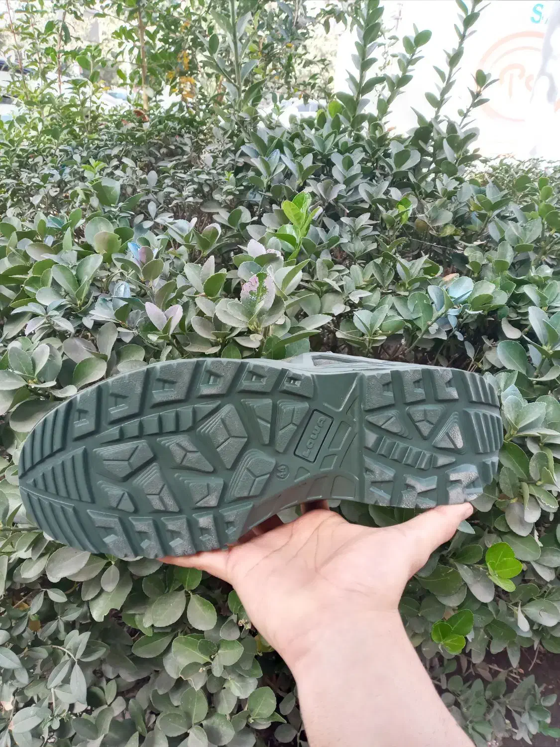 کتونی کوهنوردی و گلگشت برند Lowa اورجینال مستر|کیف، کفش، کمربند|مشهد, فرهنگ|دیوار