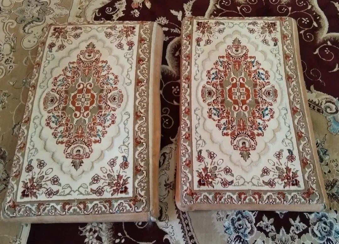 دو عدد پشتی|پشتی|اهواز, پردیس|دیوار