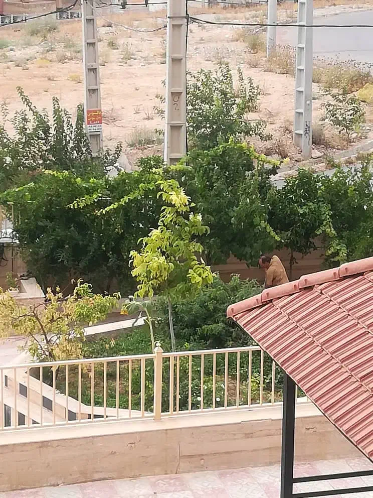 پیش فروش آپارتمان صدرا فاز ۲ ملکی|پیشفروش املاک|صدرا-فارس, فاز ۲|دیوار