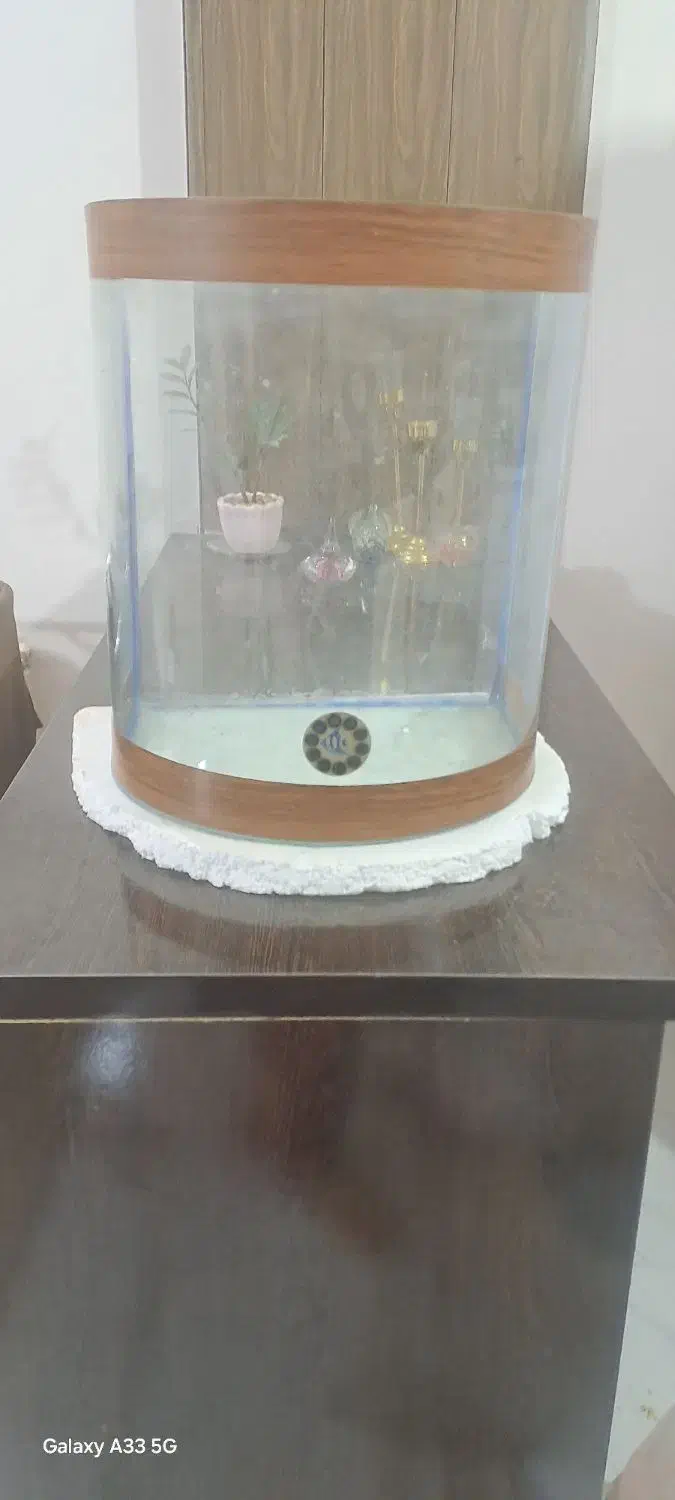 اکواریوم شیشه خم|ماهی|مشهد, شهرک لشکر (شهرک غرب)|دیوار