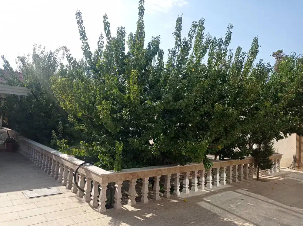 فروش ویلا در محمد شهر|فروش خانه و ویلا|محمدشهر, محمدشهر|دیوار