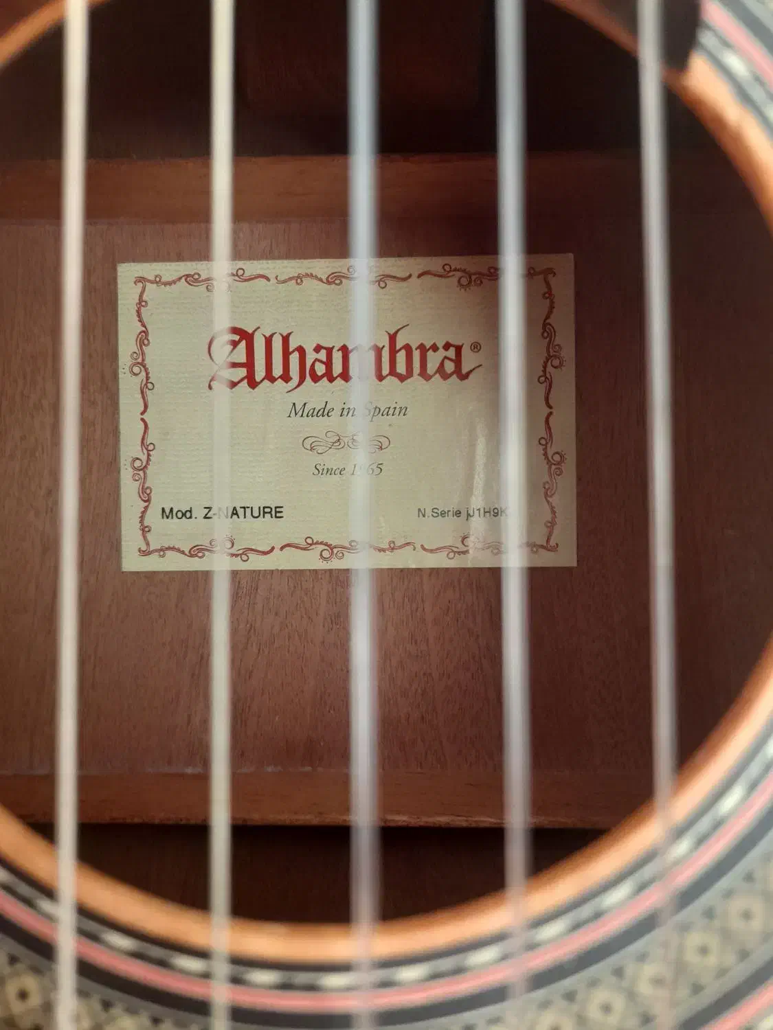 فروش الحمبرا زد نیچر|گیتار، بیس، امپلیفایر|فولادشهر, B2|دیوار