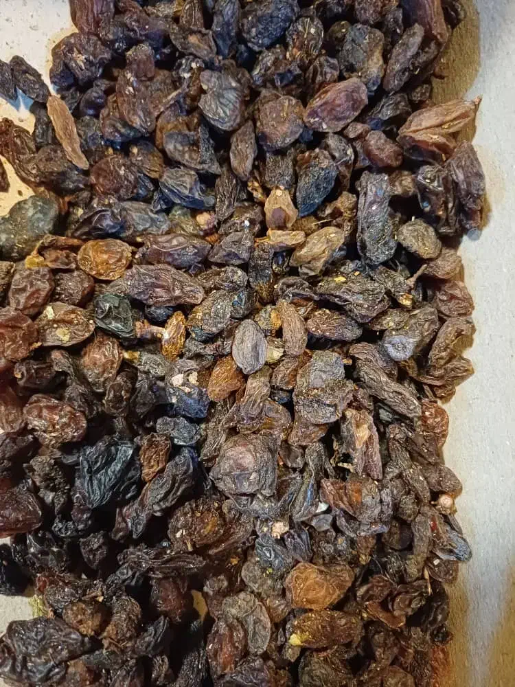 کشمش ابگیری|خوردنی و آشامیدنی|پاکدشت, پاکدشت (مامازند)|دیوار