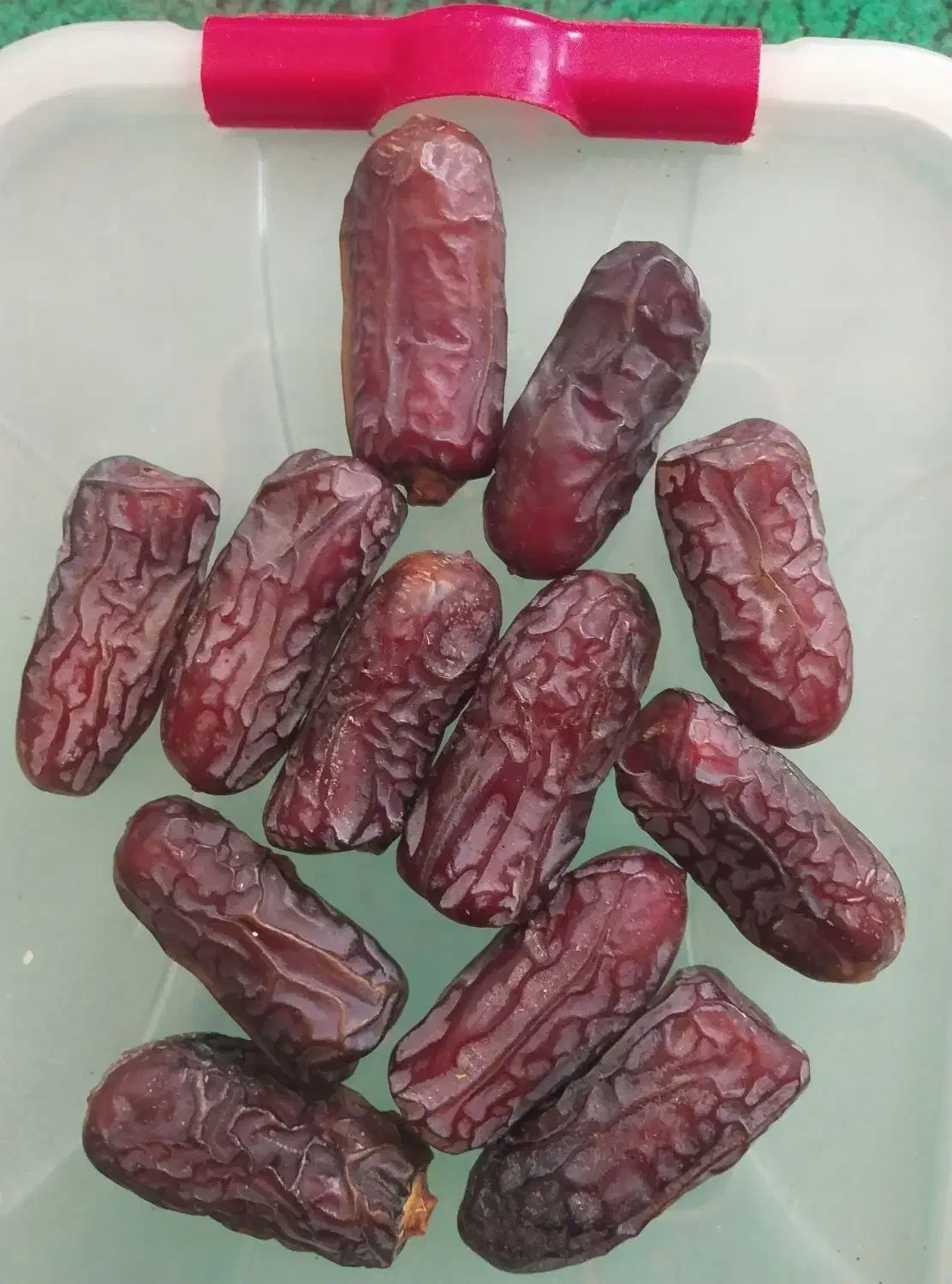 خرمای درجه یک پیاروم با قیمت عالی|حراج|حاجی آباد, |دیوار