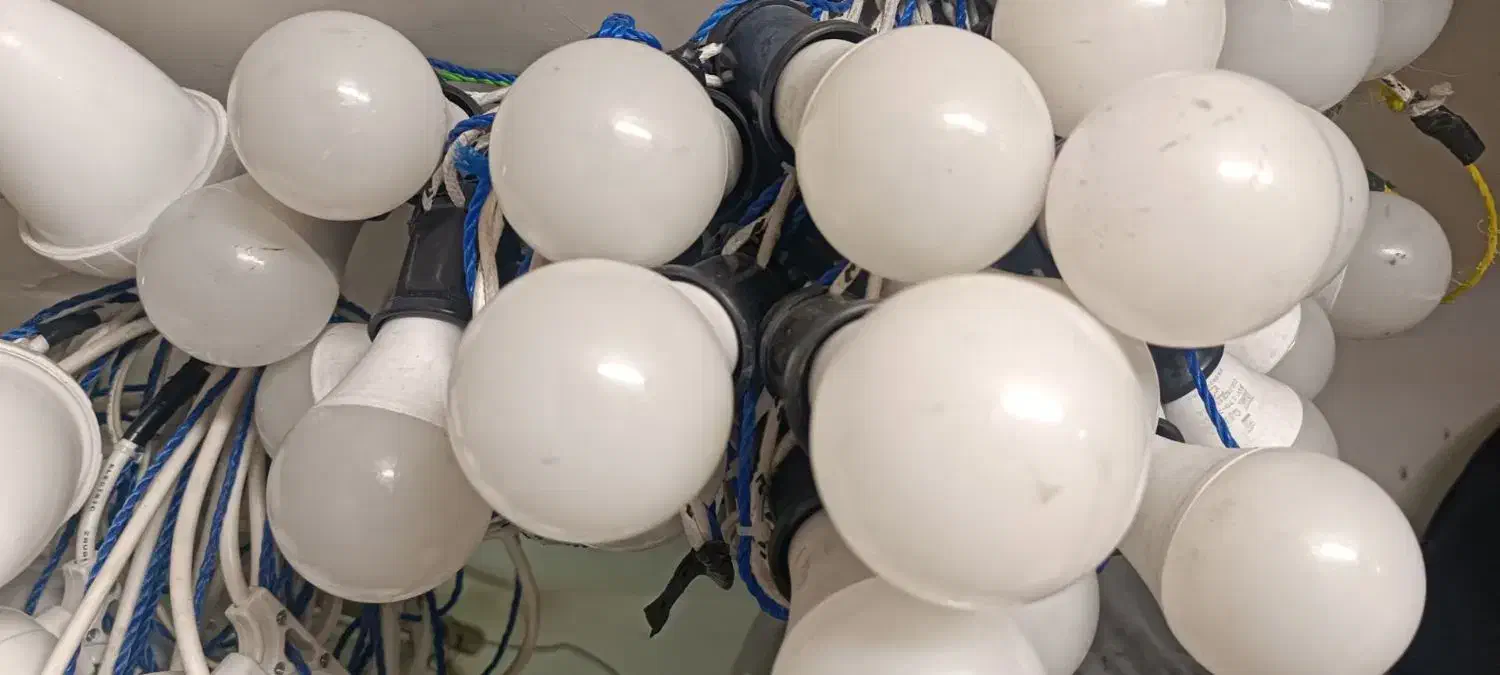 اجاره ریسه بلوطی هفت رنگ|ریسه و چراغ تزئینی|نسیم‌شهر, |دیوار