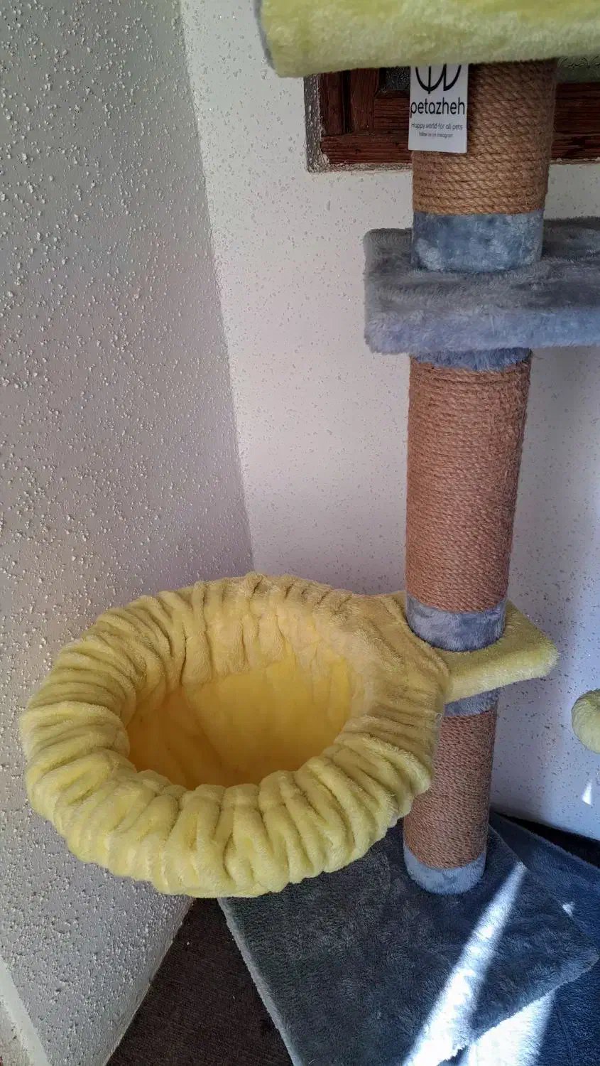 درخت گربه برند پتاژه|لوازم جانبی حیوانات|صومعهسرا, |دیوار
