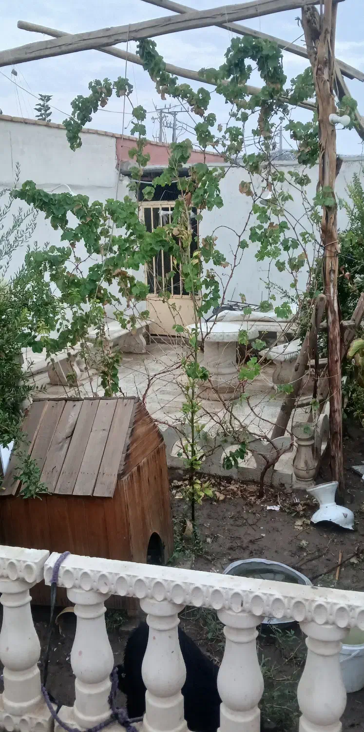 خونه باغ دشت حامد آباد|فروش خانه و ویلا|آران و بیدگل, |دیوار