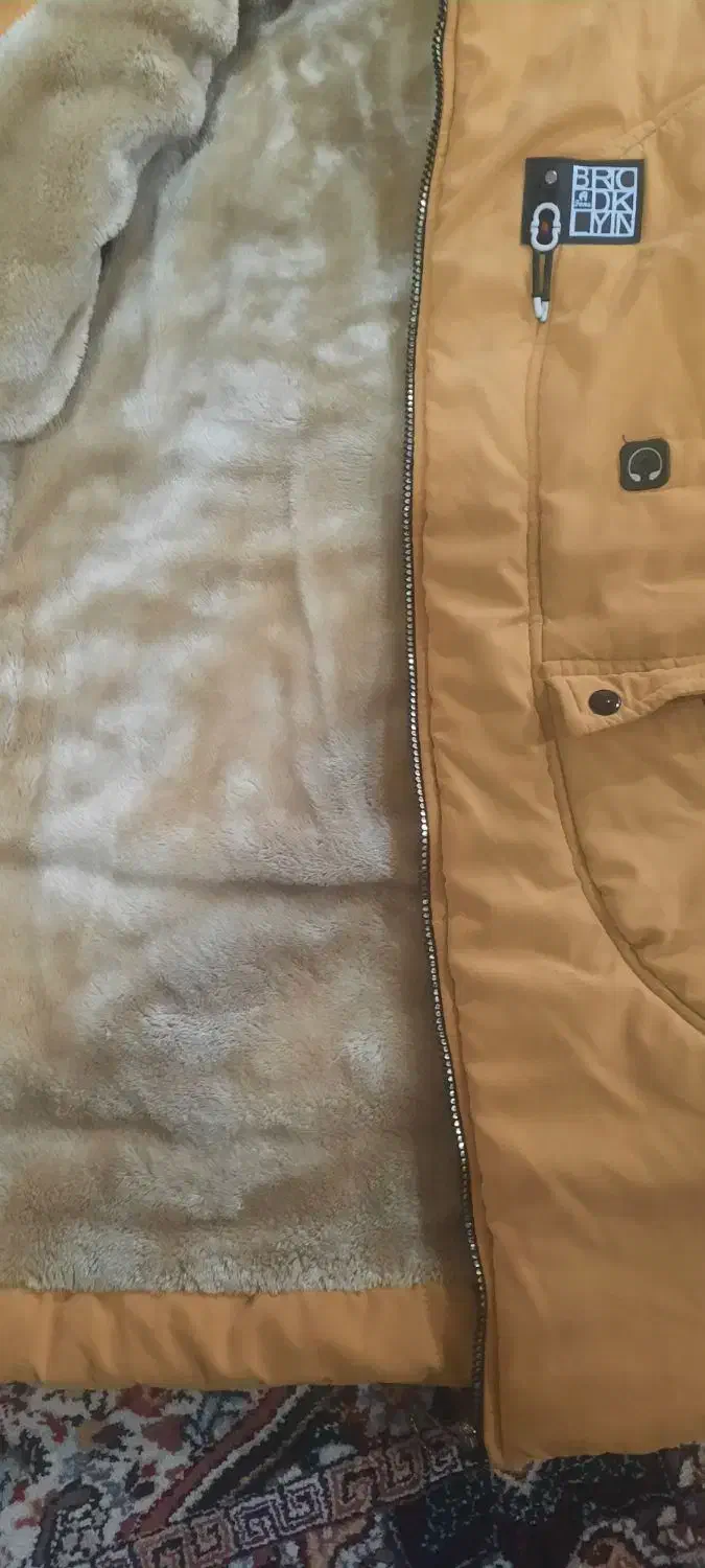 کاپشن. هودی|لباس|شوشتر, |دیوار