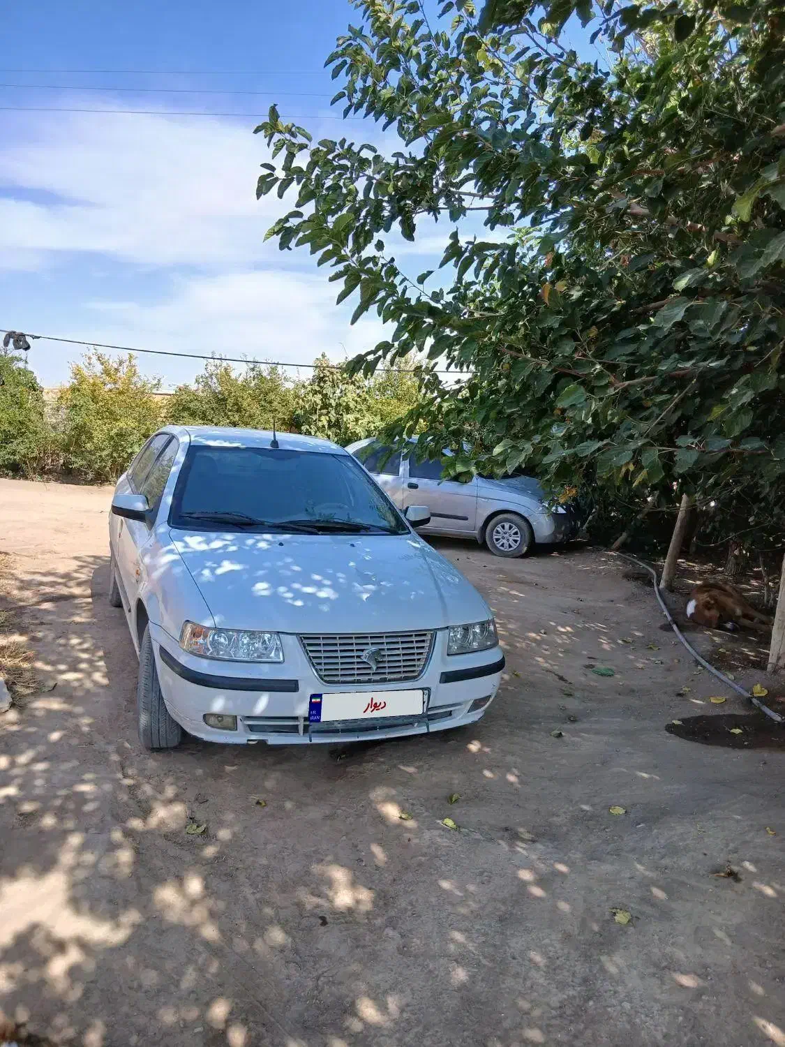 سمندای اف سون|خودرو سواری و وانت|میامی, |دیوار