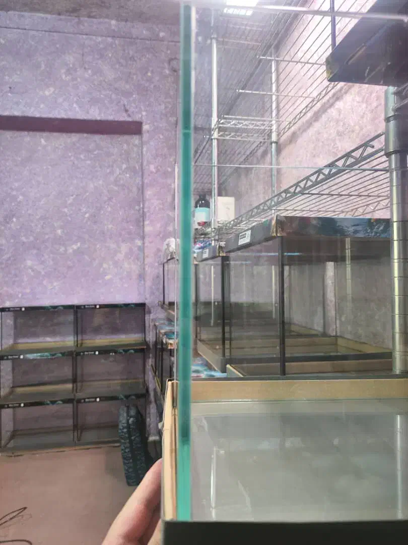 جشنواره آکواریوم های ریملس با قیمت باورنکردنی|ماهی|رشت, پل تالشان|دیوار