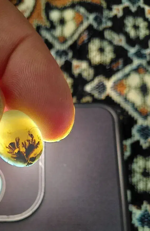 سنگ تراش خورده شجر|بدلیجات|تبریز, |دیوار