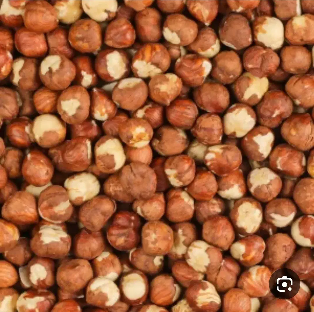 فندق خشک ، مغز فندق خشک|خوردنی و آشامیدنی|رشت, دیلمان|دیوار