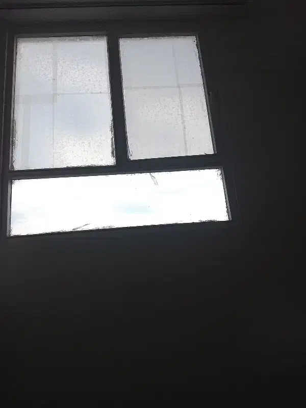 فوری راهنمایی کنید برا شغل|فعالیت داوطلبانه|فولادشهر, C2|دیوار