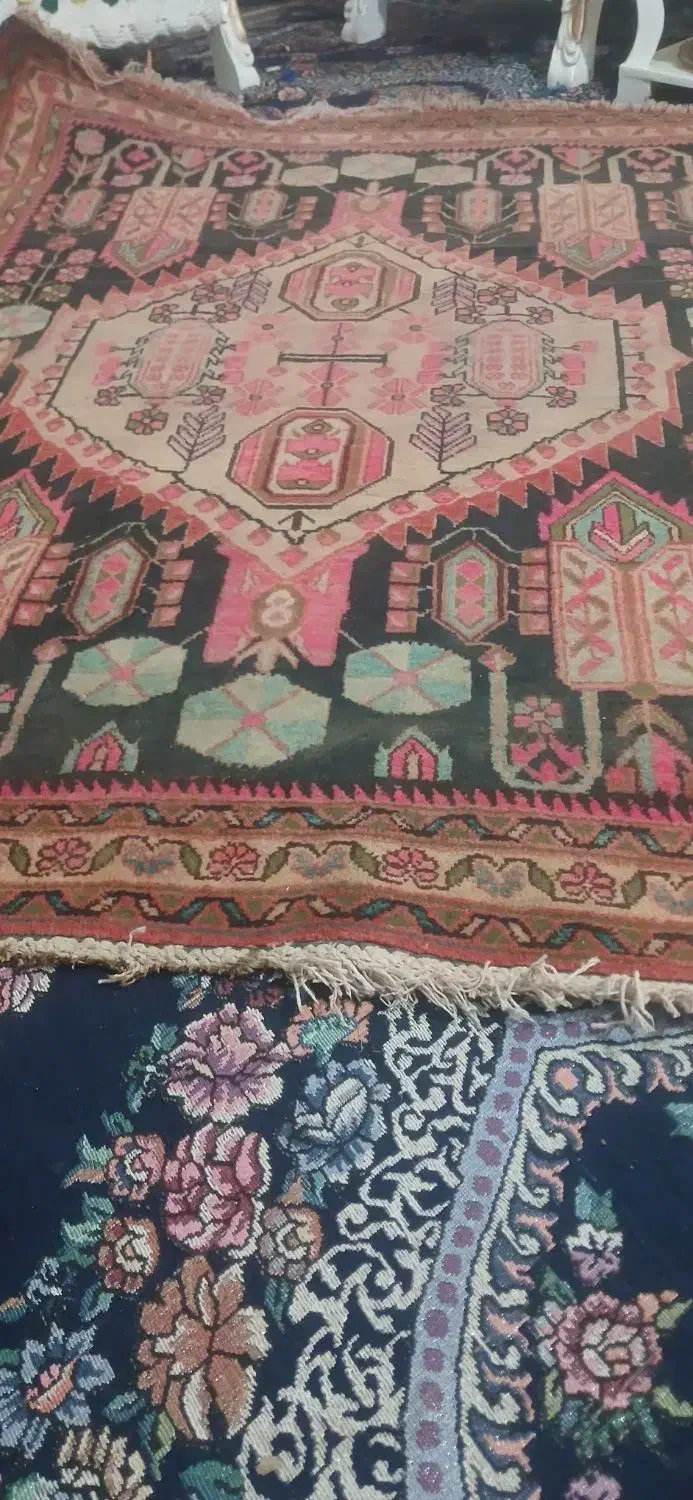 فروش قالی محلی|فرش|بردسیر, |دیوار