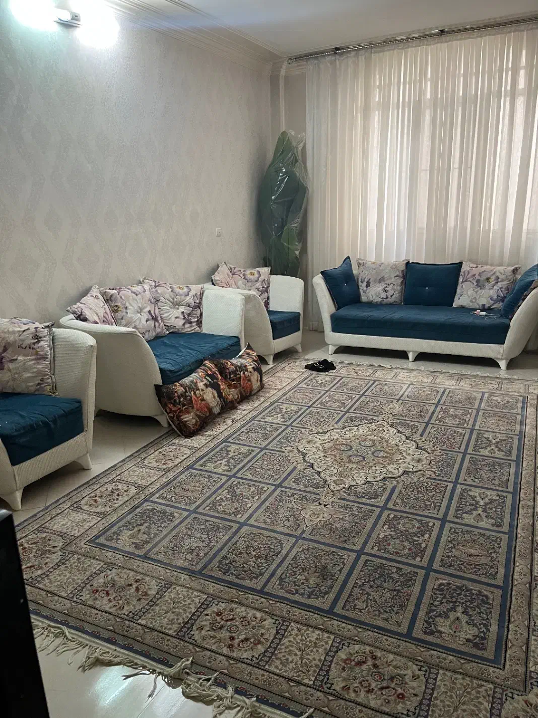 فرش|فرش|تهران, تختی|دیوار