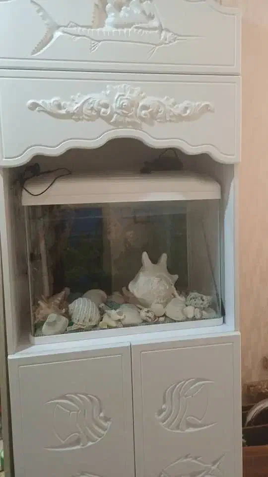 فروش فوری اکواریوم|ماهی|قشم, |دیوار