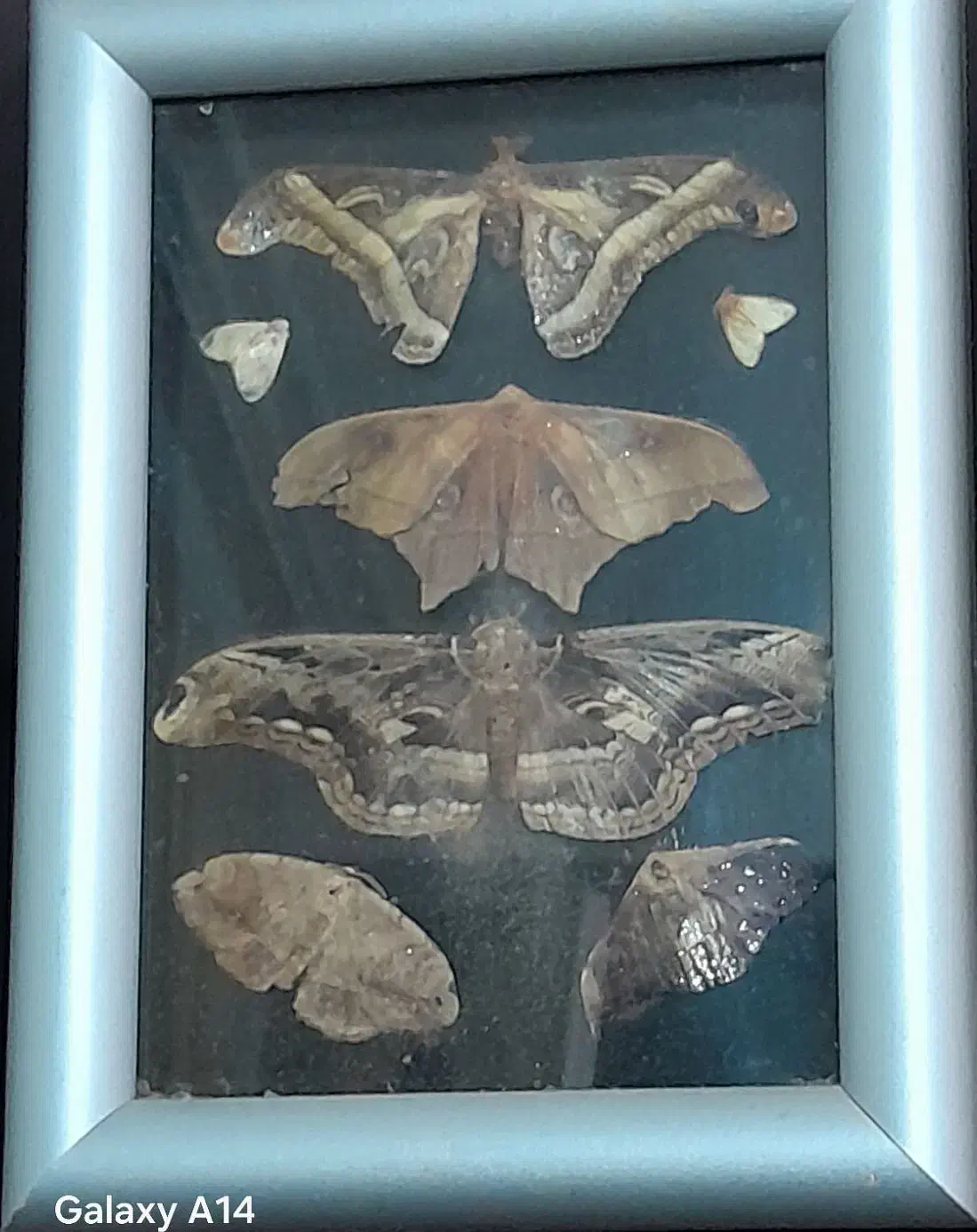 تابلو|تابلو، نقاشی، عکس|رشت, کوی غلام نیا|دیوار