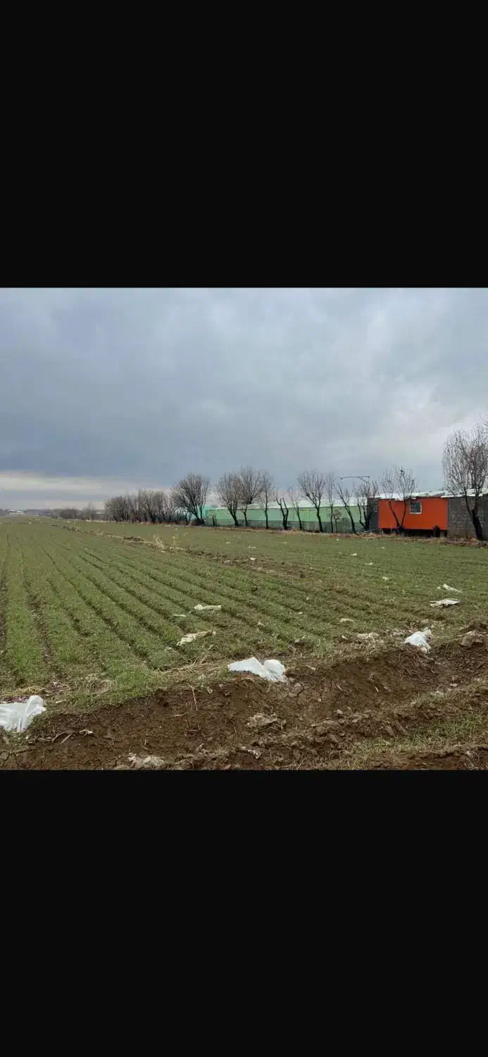یک هکتار سندار برجاده قدیم هشتگرد|فروش زمین و ملک کلنگی|هشتگرد, ینگی امام|دیوار