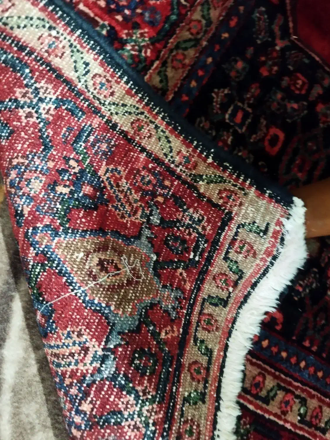 قالیچه دستبافت|فرش|تهران, شکوفه (عبدل آباد)|دیوار