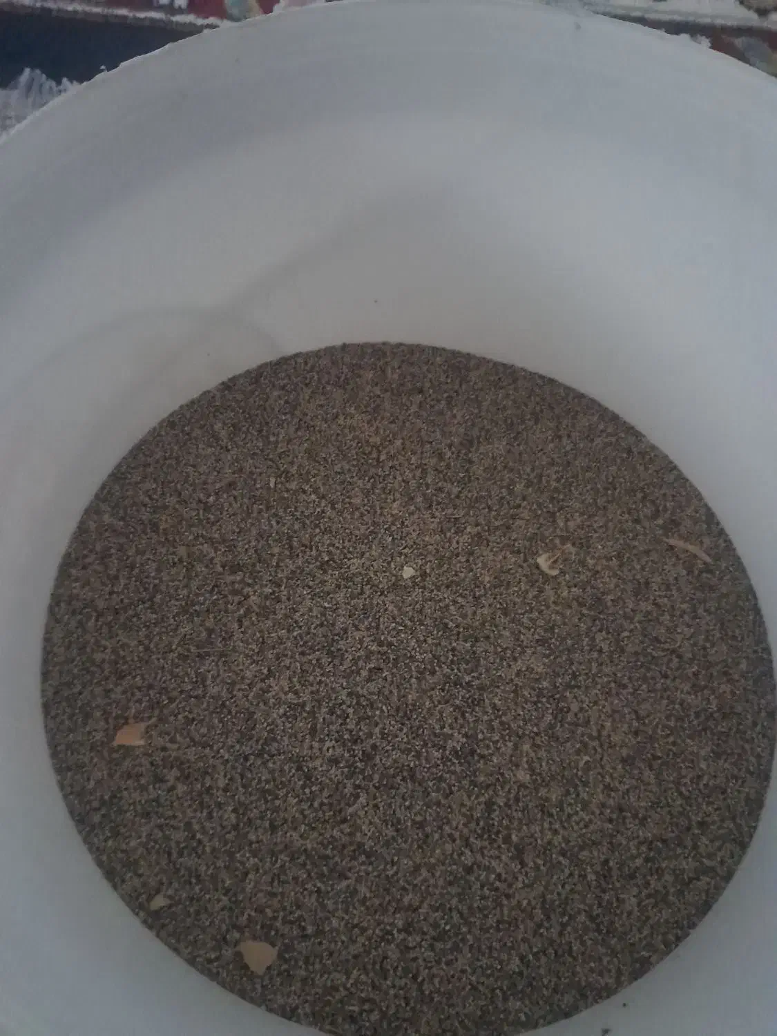 بذر کشاورزی|گل و گیاه طبیعی|کوهدشت, |دیوار