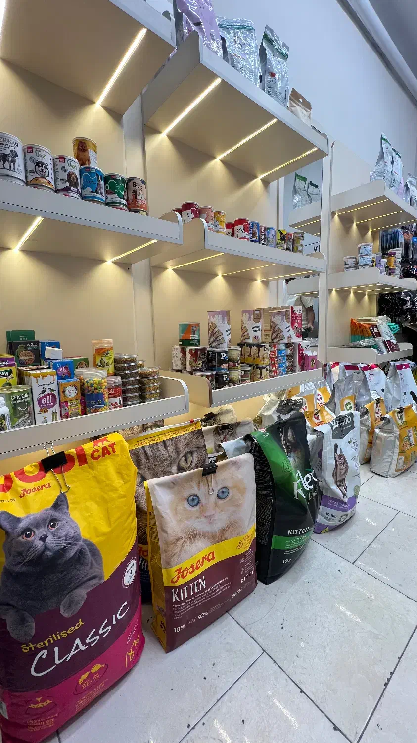 پت شاپ، غذا سگ،گربه و پرنده|لوازم جانبی حیوانات|مشهد, گلبرگ شمالی|دیوار