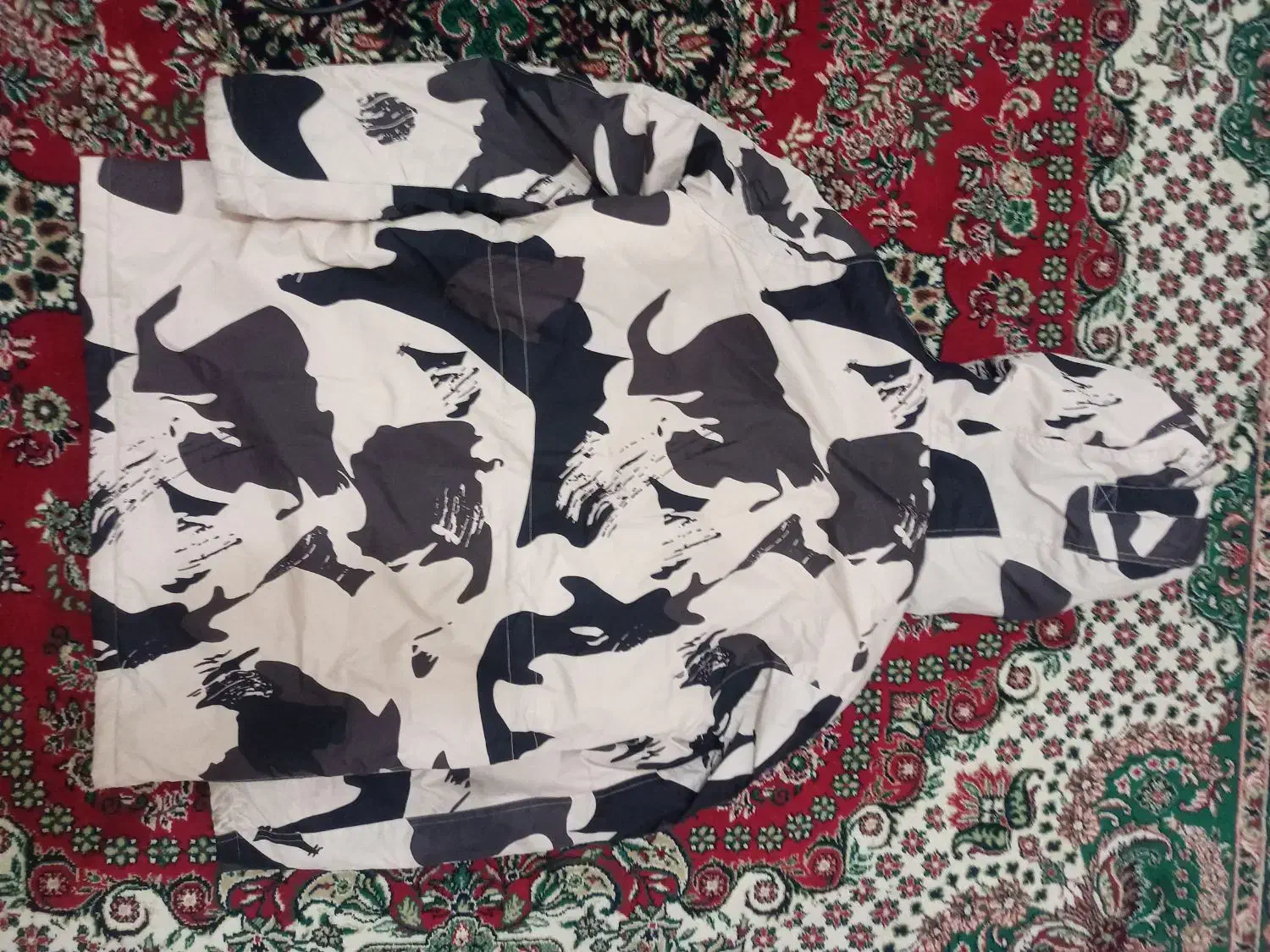 کاپشن خارجی|لباس|کرمان, |دیوار