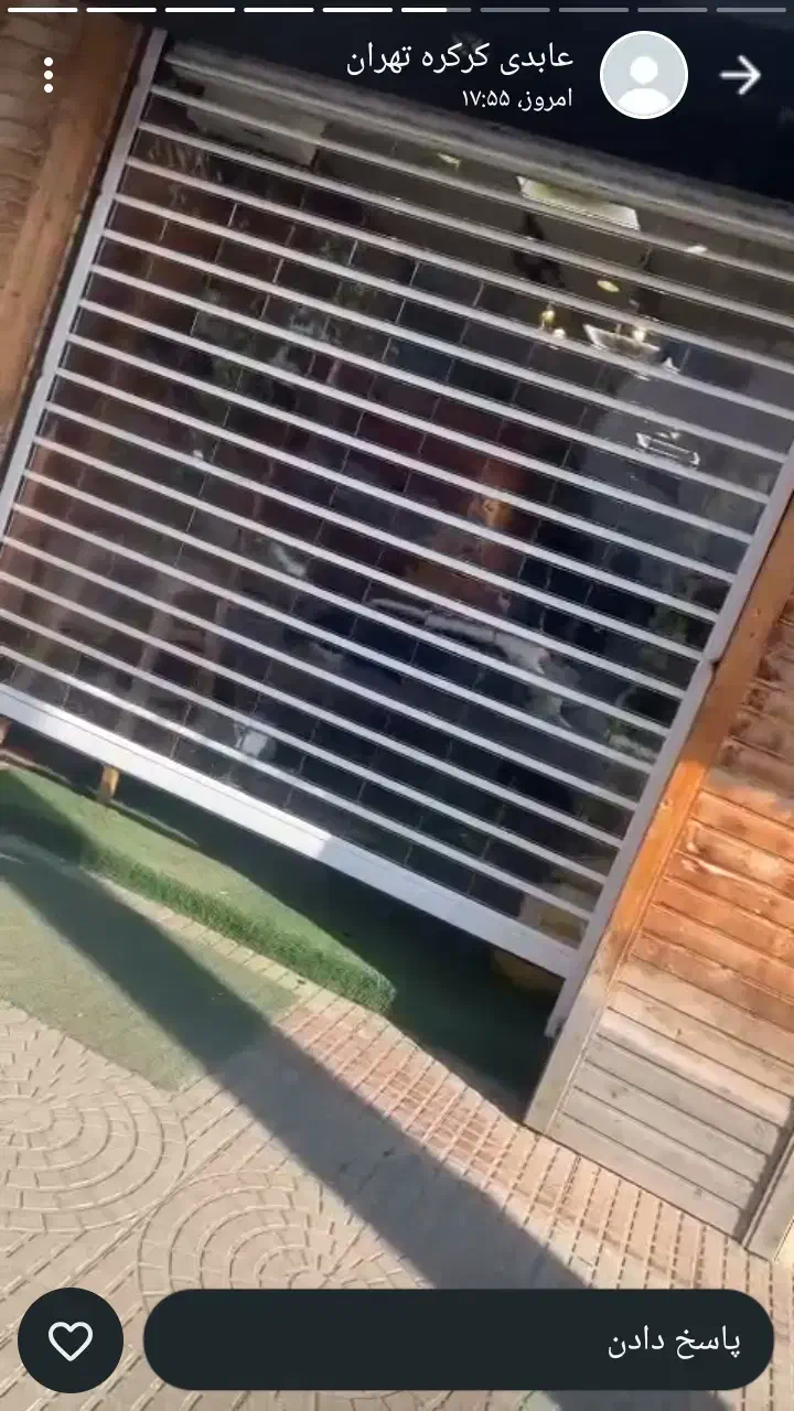 کرکره برقی با جک بلند مدت وبدون بهره|خدمات پیشه و مهارت|سهند, |دیوار