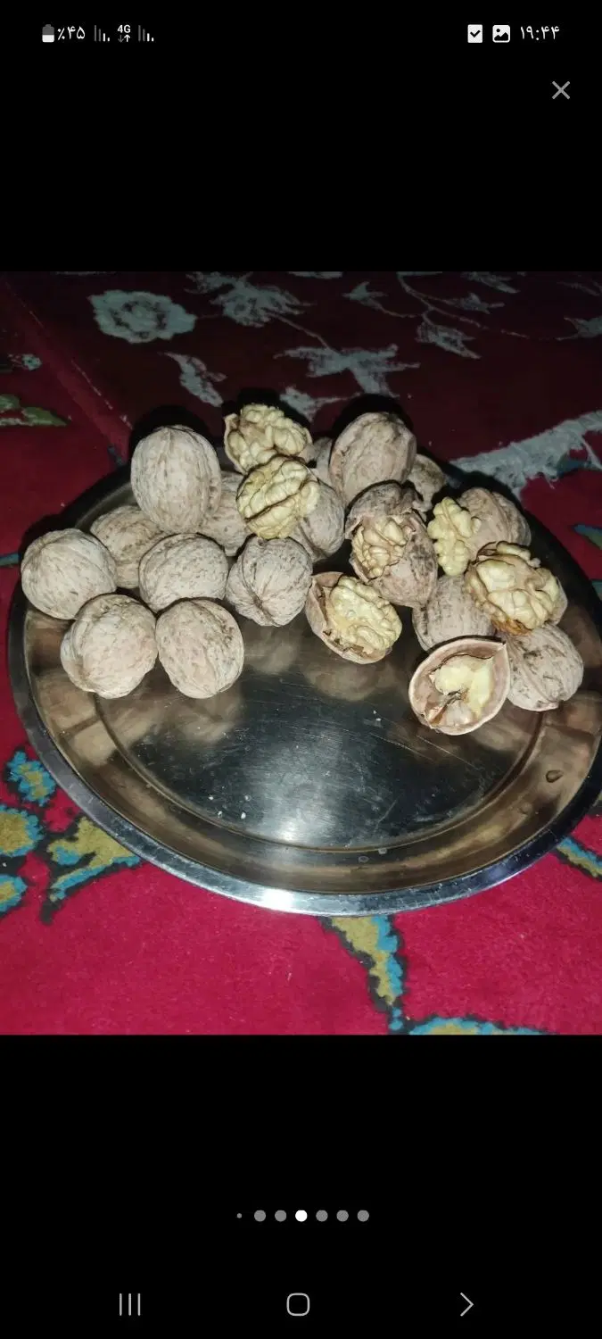 گردو|خوردنی و آشامیدنی|خلخال, |دیوار