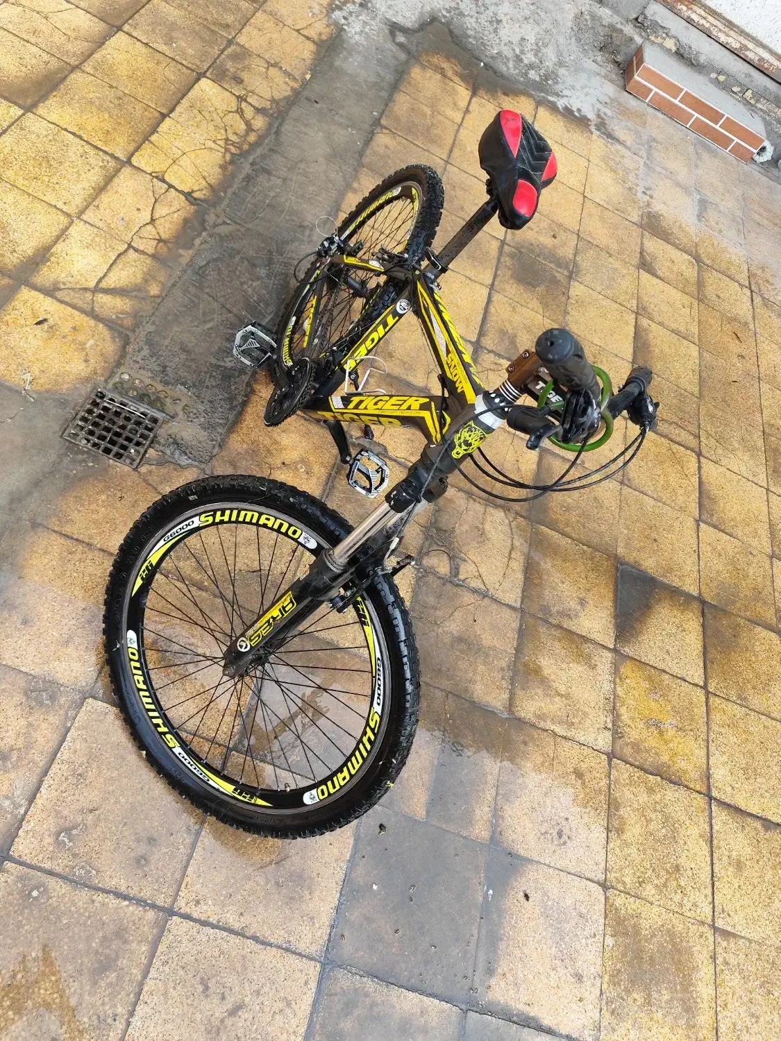 دوچرخه|دوچرخه، اسکیت، اسکوتر|شوشتر, |دیوار